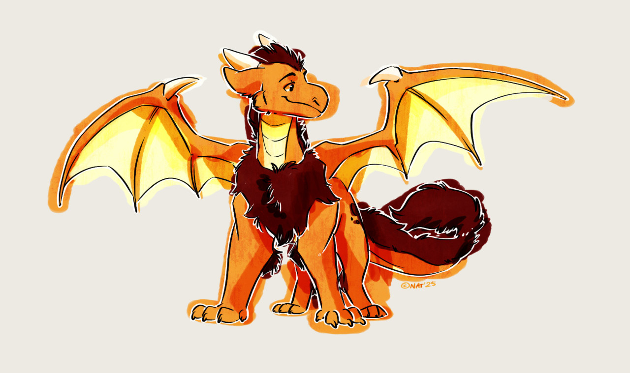 raffle sketch feb 2025.jpg